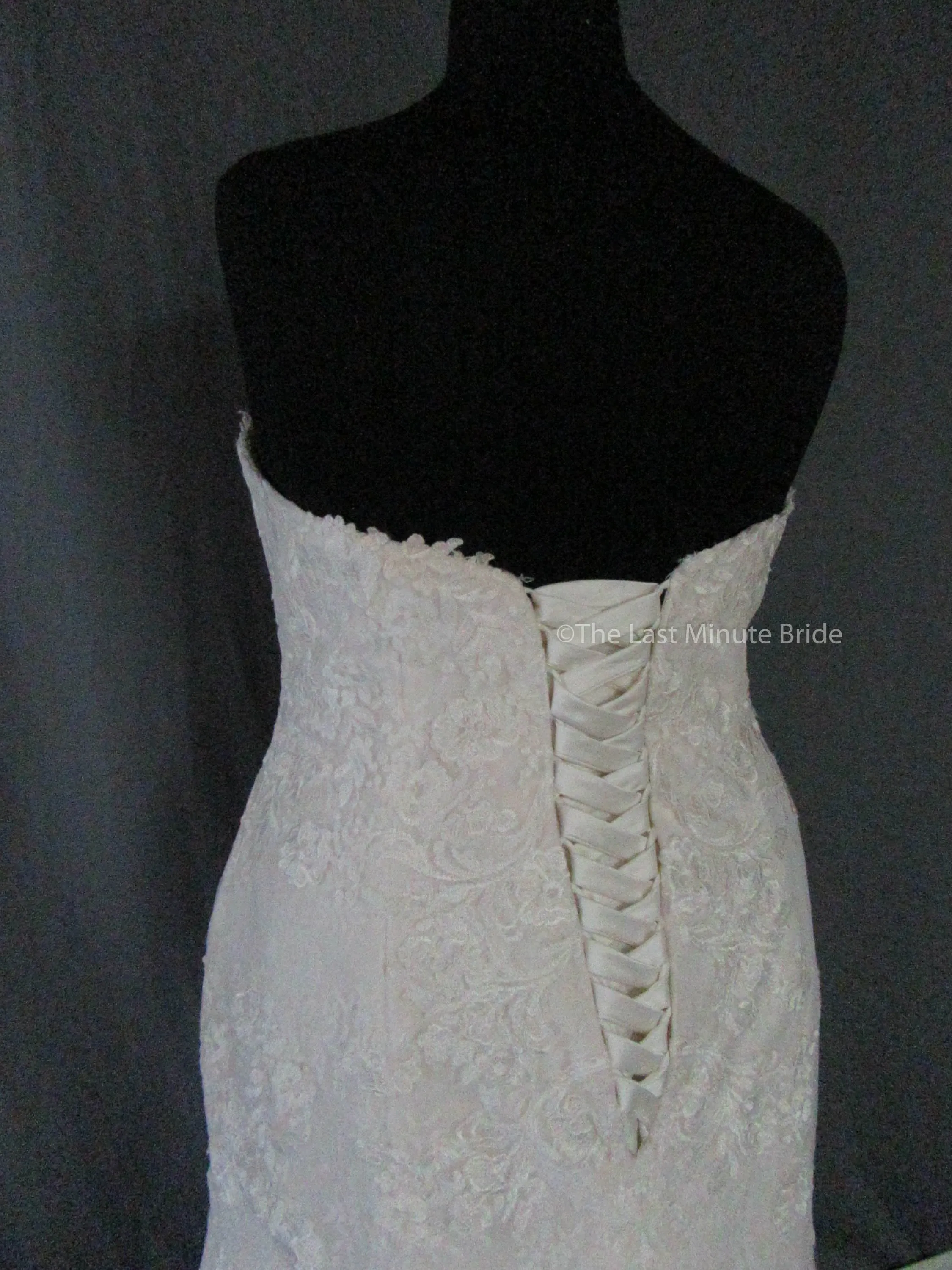 Rebecca Ingram Brenda 7RS303