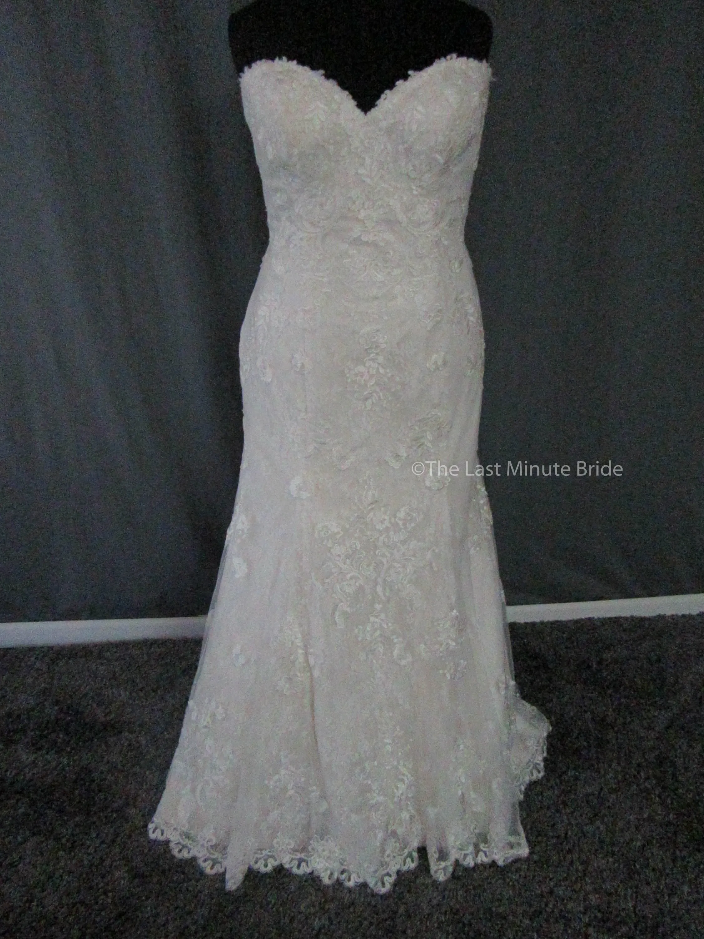 Rebecca Ingram Brenda 7RS303