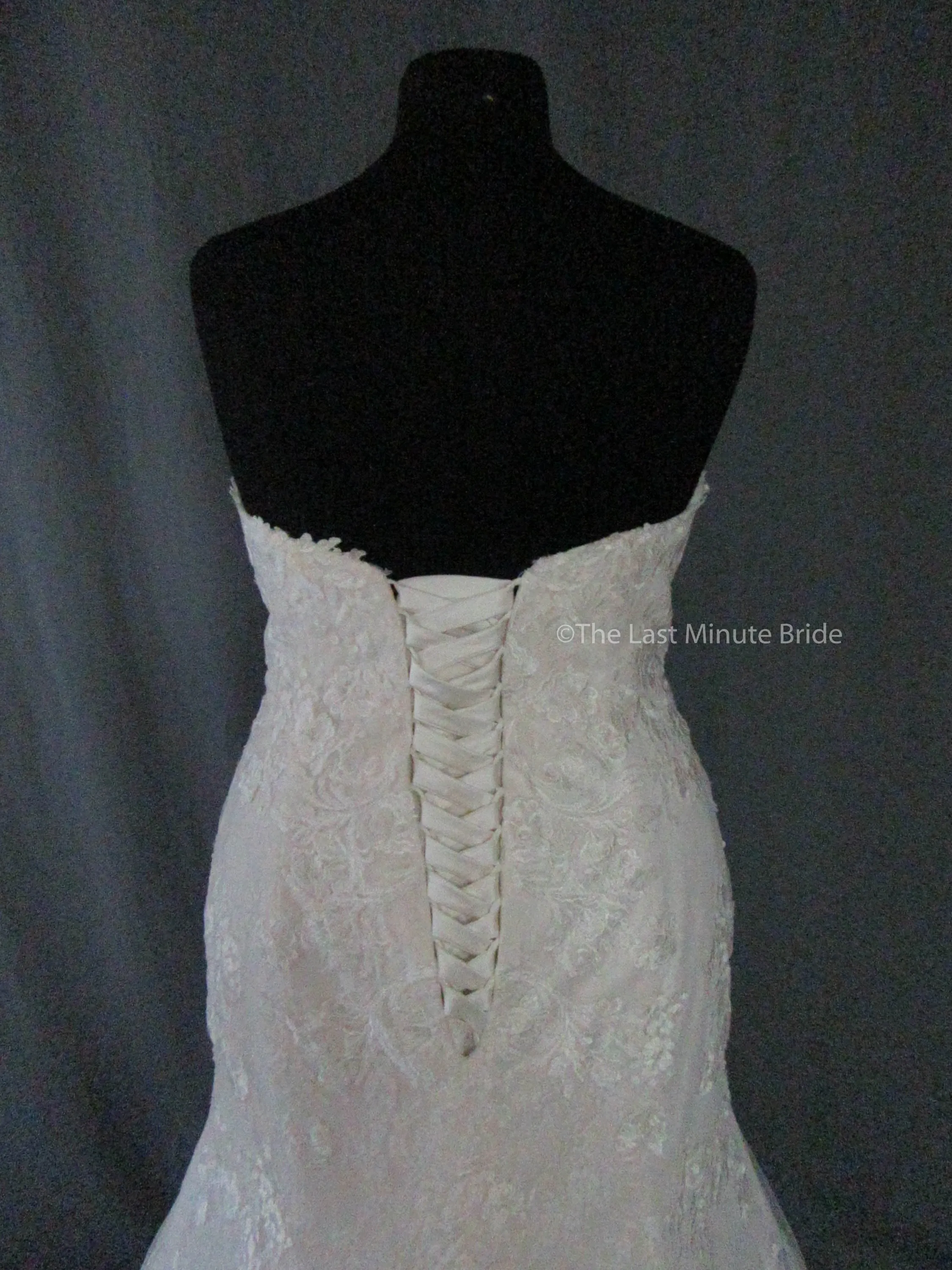 Rebecca Ingram Brenda 7RS303