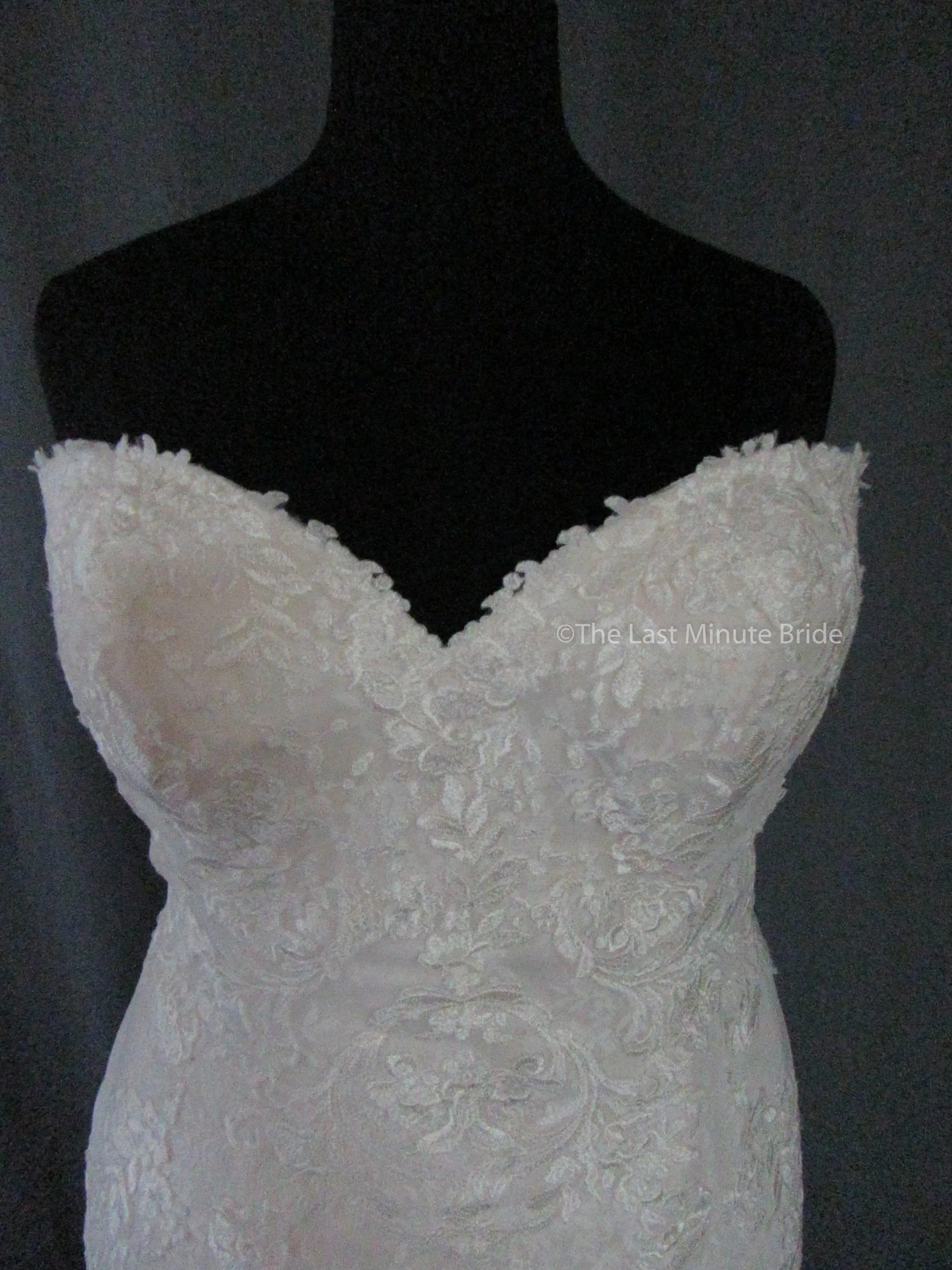 Rebecca Ingram Brenda 7RS303