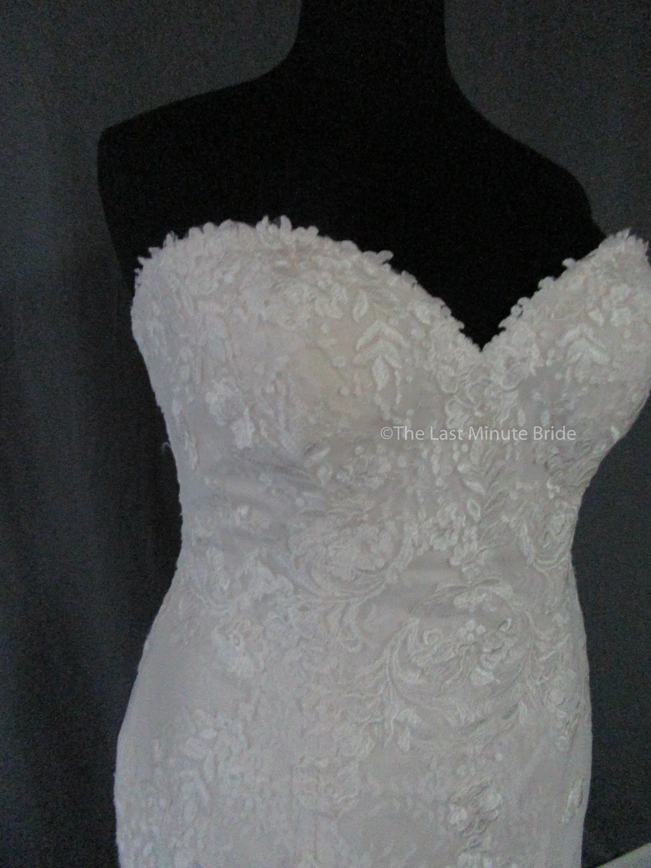 Rebecca Ingram Brenda 7RS303