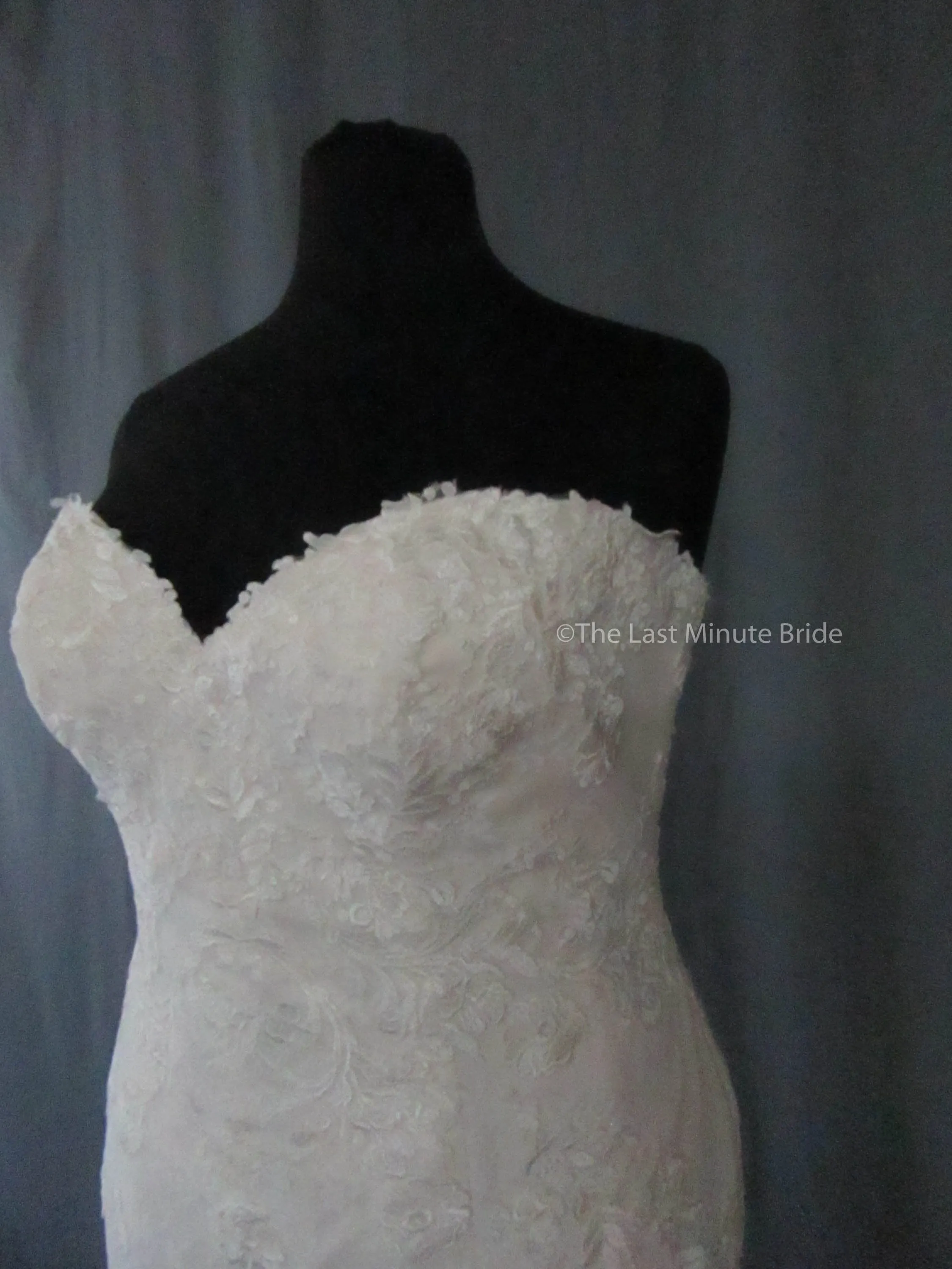 Rebecca Ingram Brenda 7RS303