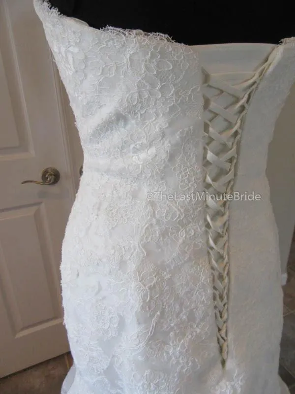 Sophia Tolli Wren Y11567