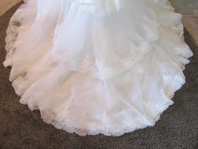 Sophia Tolli Wren Y11567