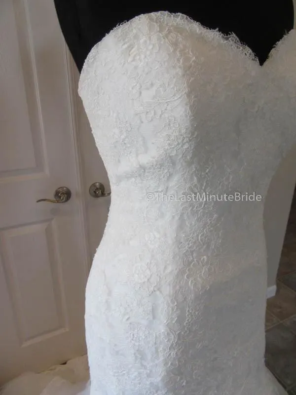 Sophia Tolli Wren Y11567