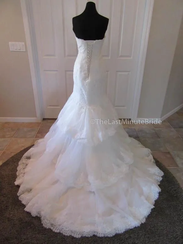 Sophia Tolli Wren Y11567