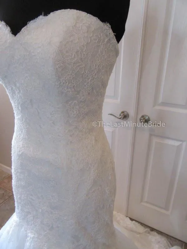 Sophia Tolli Wren Y11567