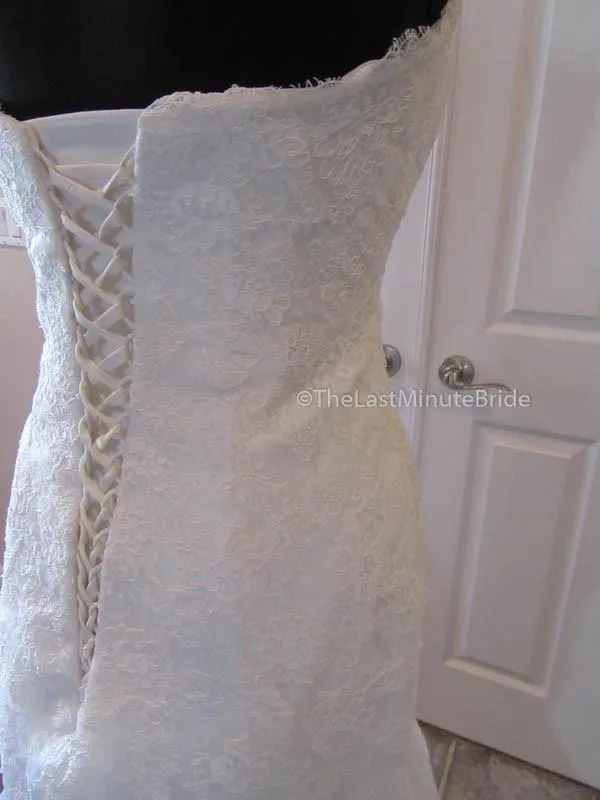 Sophia Tolli Wren Y11567