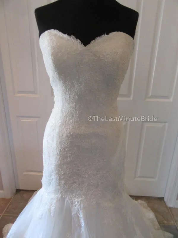 Sophia Tolli Wren Y11567