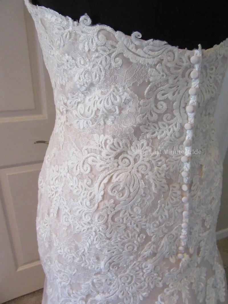 Stella York 6257 size 22