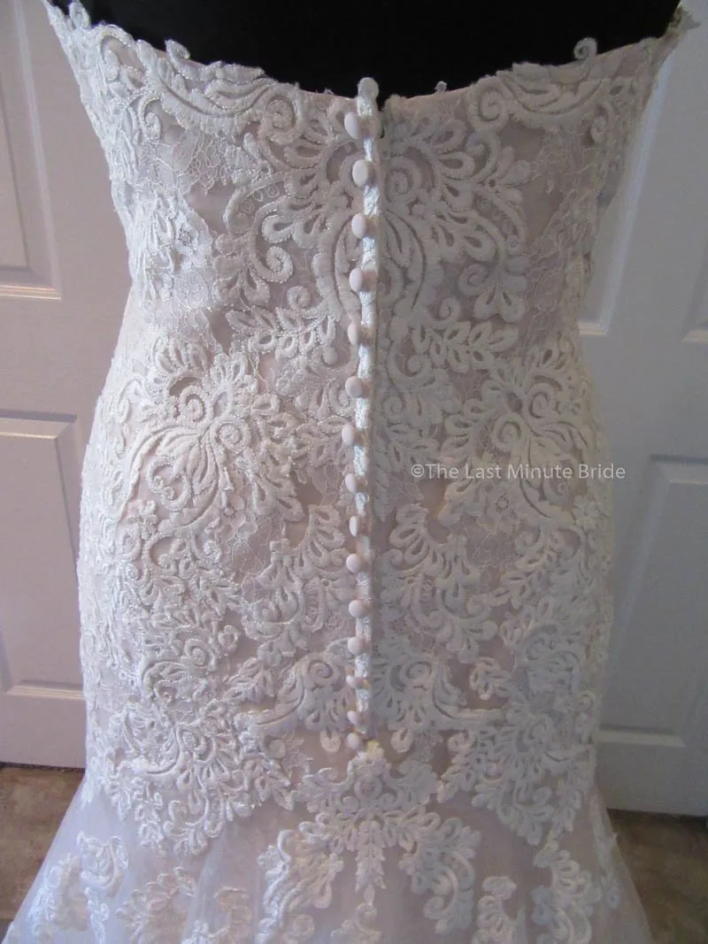 Stella York 6257 size 22