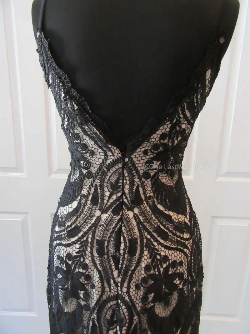 The Last Minute Bride Style Ambrosia (In Stock Sizes - Black/Nude)