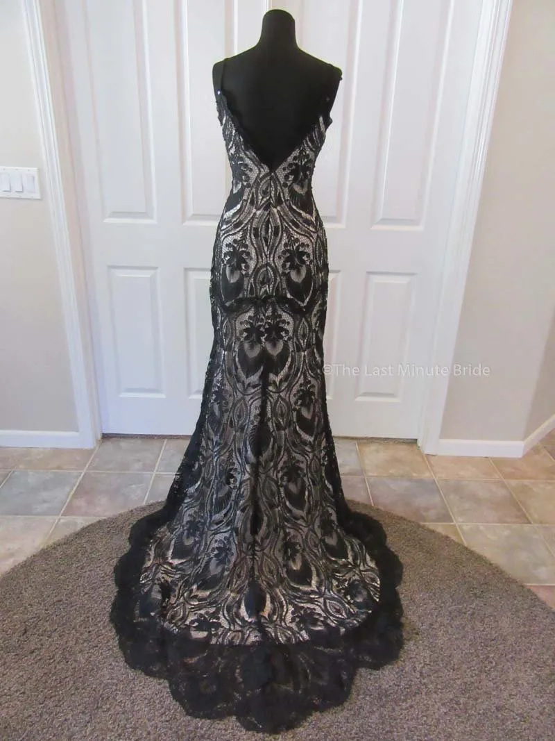 The Last Minute Bride Style Ambrosia (In Stock Sizes - Black/Nude)