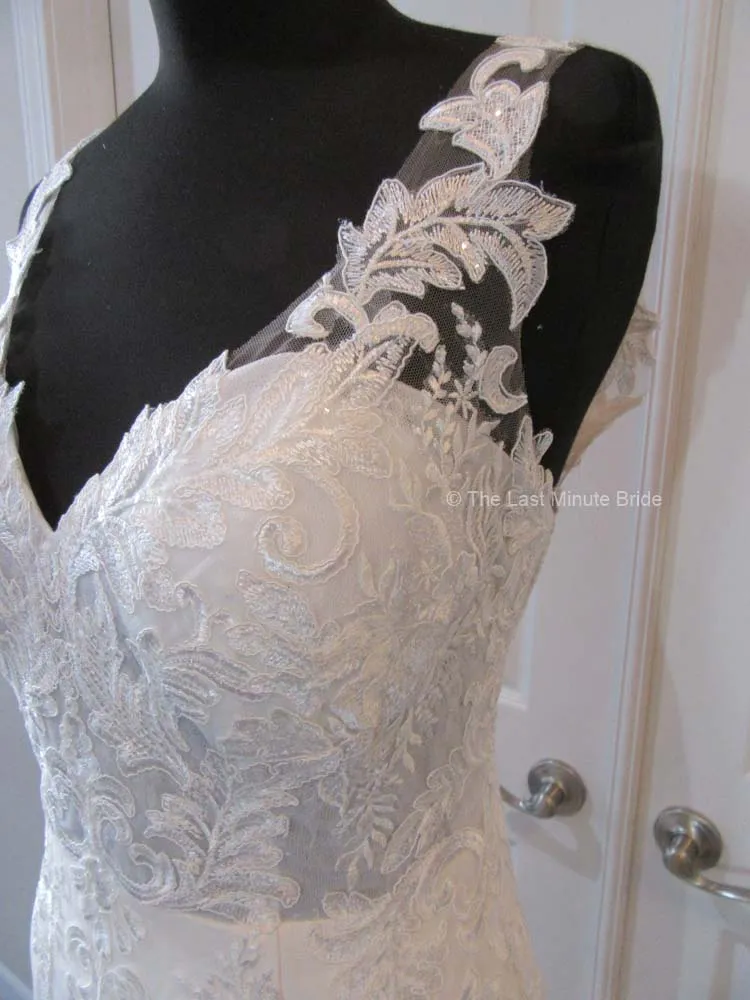 The Last Minute Bride style Daphne