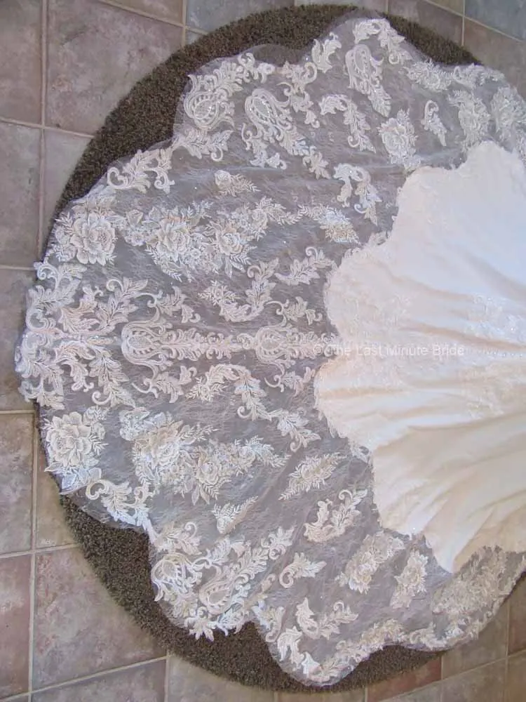 The Last Minute Bride style Daphne
