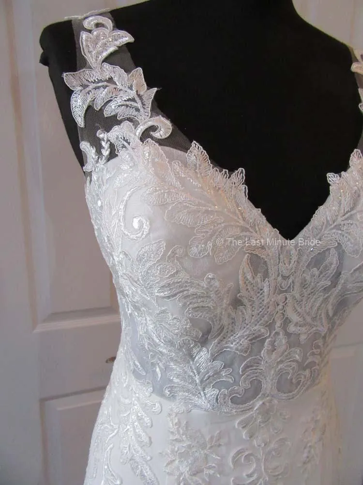 The Last Minute Bride style Daphne