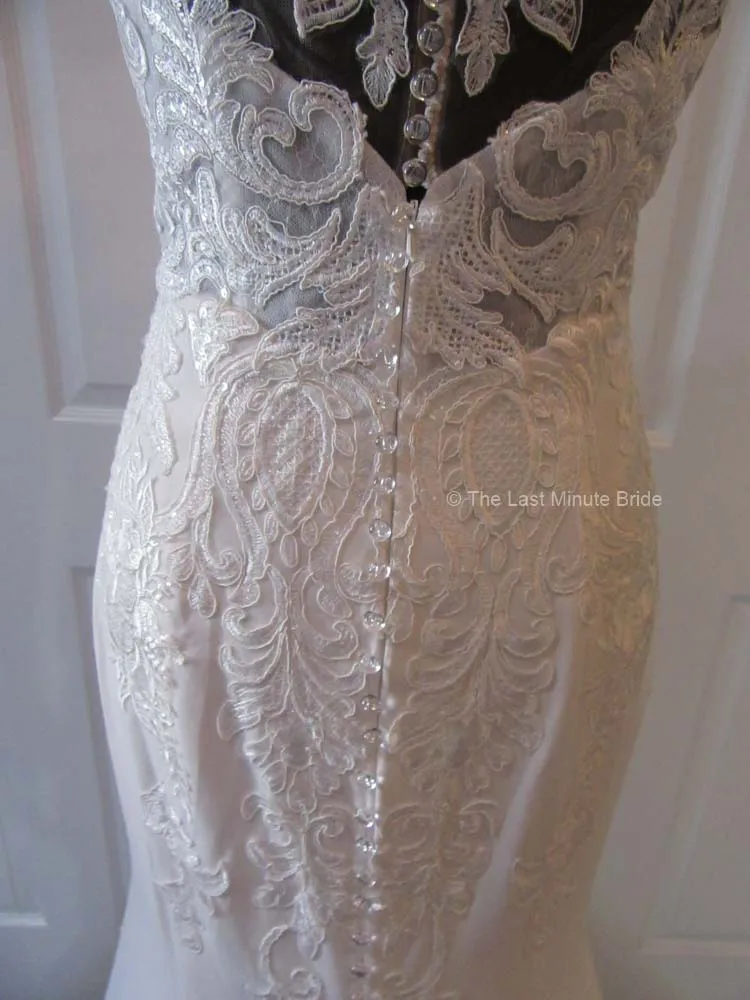 The Last Minute Bride style Daphne