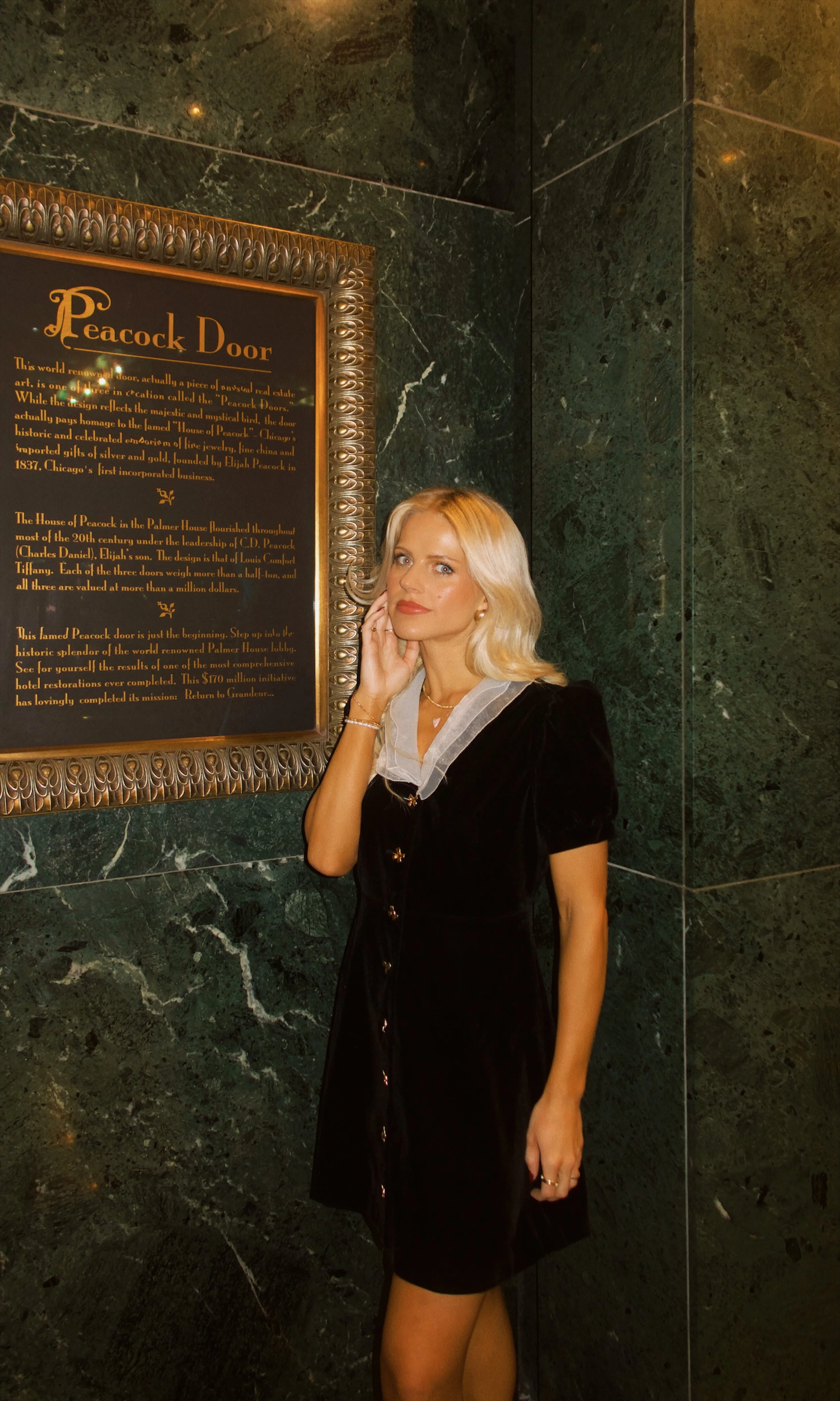 The Waldorf Mini Dress
