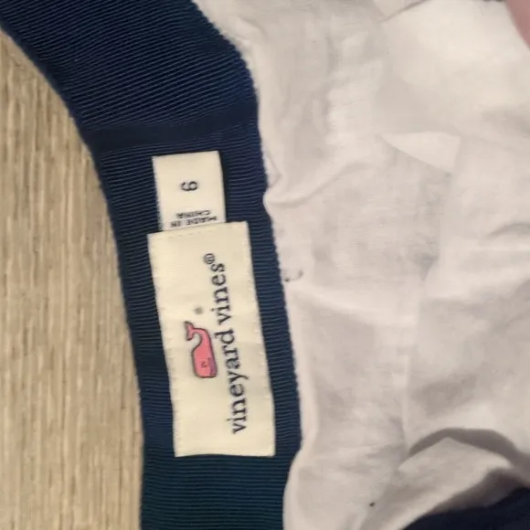 Vineyard Vines Blue White Poplon Pleated Skirt Size 6